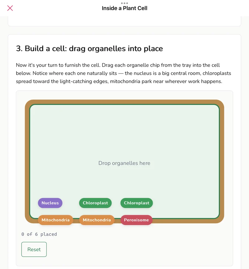 Inside a Plant Cell, made by AI from a study note